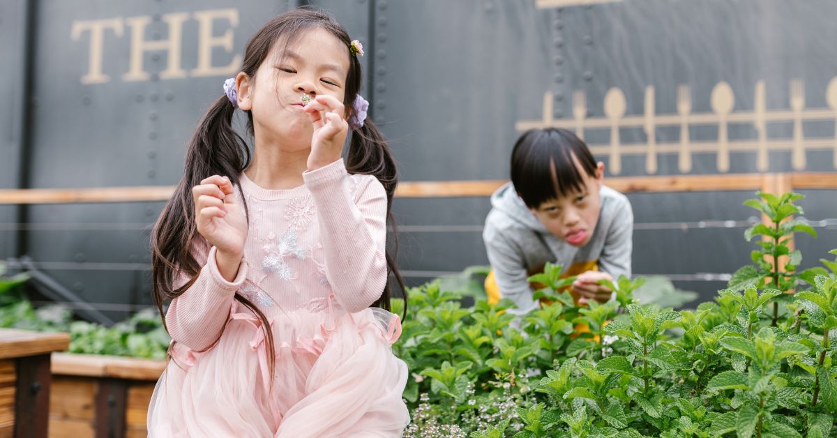 adhd-autism-common-myths